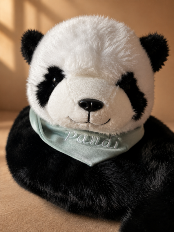 Panda Pandi