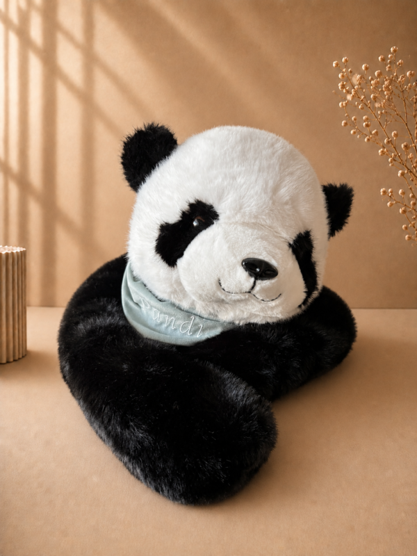 Panda Pandi