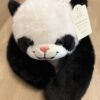 Panda Poxi