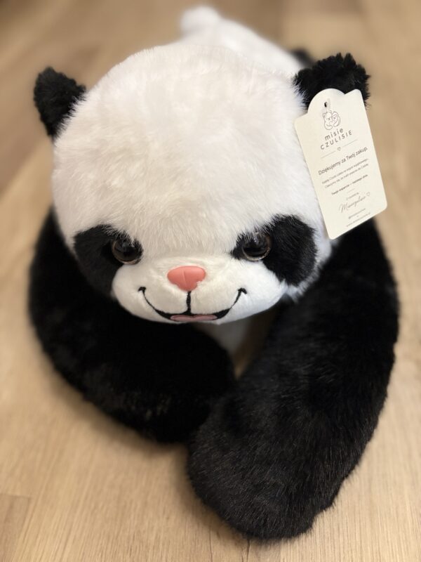Panda Poxi